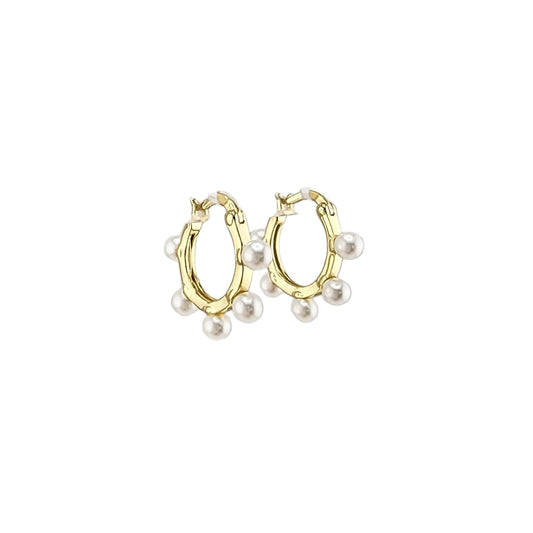 5 Pearl Mini Hoop Earrings Gold